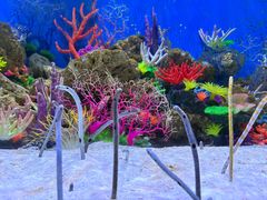 -成都浩海立方海洋公园