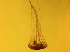 -沈阳海洋探索中心