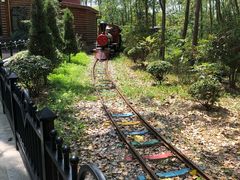 -合肥滨湖国家森林公园