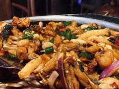 青椒紫苏锅-蛙小侠(珠海华发商都店)