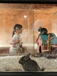 -酷嗒动物文化乐园(cutezoo西溪乐天城店)