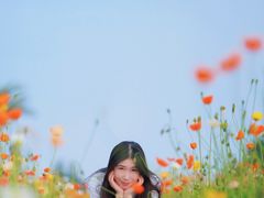 -空港花田景区