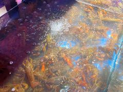 -二钳洞庭虾蟹·江湖菜(成都鹭岛店)