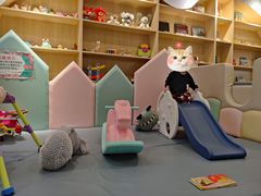 -Ours树朵家亲子餐厅(远策中心店)