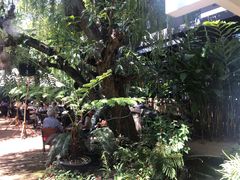 景观位-Fern Forest Cafe