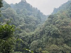 -青城山
