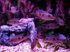 -上海海洋水族馆-停车场