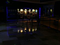 -金逸影城(光美江宁IMAX店)