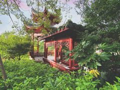 -乌山风景区