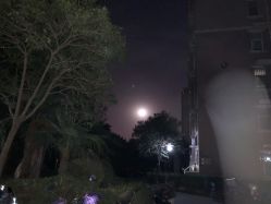 -河南中医药大学第一附属医院·皮肤美容