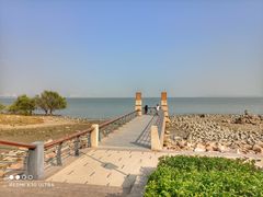-深圳湾公园(南山区)
