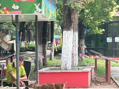 -荆州中山公园动物园