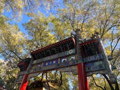 -北京国子监胡同