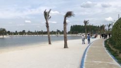 -恐龙探索乐园(磁器口店)