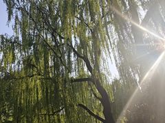 -玲珑塔公园