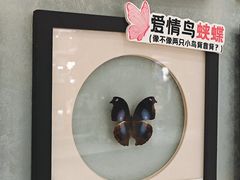 -深圳龙华星河COCO City(民治店)