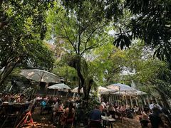-Fern Forest Cafe