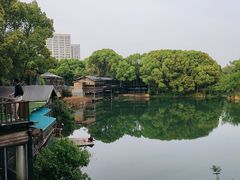 -张鸟园农家乐(张鸟园店)