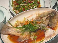-大榕树下顺德菜(融创茂店)