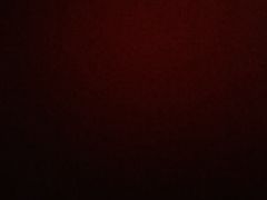 -巢爷老味(东方红店)