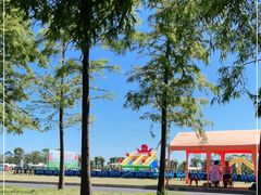 -春花秋色城市公园