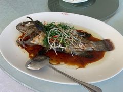 -海湾壹品·粤菜·早茶·烤鸭(拱北店)