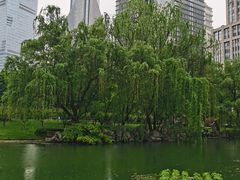 -陆家嘴中心绿地