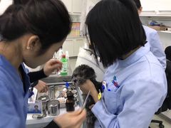 -北京恒爱动物医院(清景园分院)