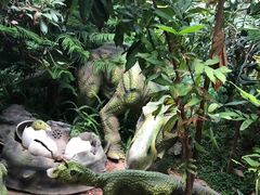 -呀路古热带植物园-恐龙馆