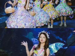 -南昌海洋公园
