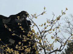 -旺山·浪头人家