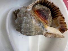 -海岛渔村大酒店(云霄路店)