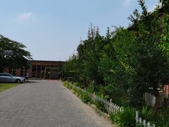-食家鸽园