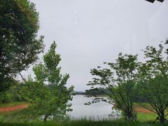 -中海·庐山西海君澜度假酒店·味屿全日制餐厅