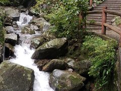 -藏龙百瀑风景区