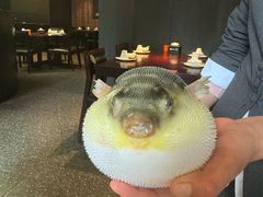 -永安鱼庄·镇江菜(东吴路店)