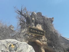 -大槐树寻根祭祖园
