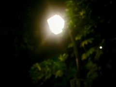 -圣爵菲斯大酒店(长沙世界之窗店)