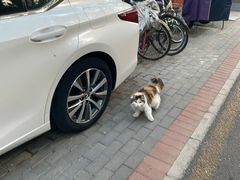 -宫门口馒头铺(创始人总店)
