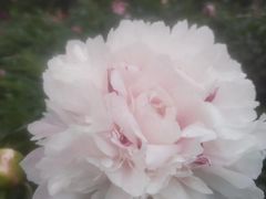 -长春公园(普阳街道)