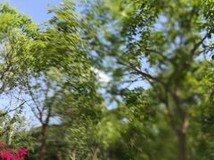 -凤岗南门山森林公园