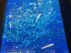 -成都浩海立方海洋公园