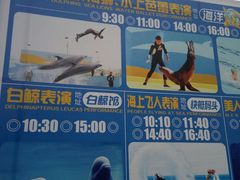 -秦皇岛乐岛海洋王国