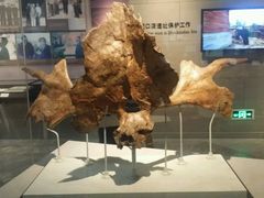-北京周口店北京人遗址博物馆