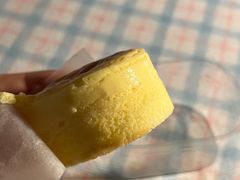 -卡萨米亚动物奶油生日蛋糕(新都汇店)