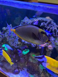 -Zoolung Zoolung动物主题公园(海信广场店)