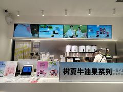 -树夏(金楠天街店)
