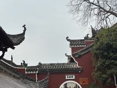 -长春观