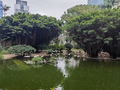 -九龙公园