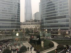 -陆家嘴空中步行连廊